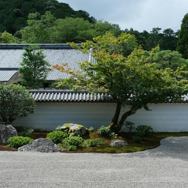 2024/09 Japan photo 17